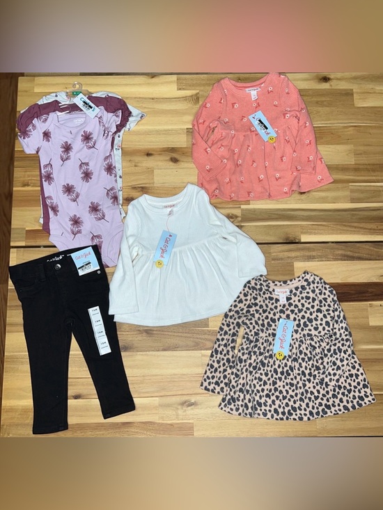 Cat & Jack Other - NWT Baby girl clothes bundle 12M